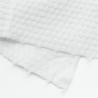 Disposable Towel (Roll)
