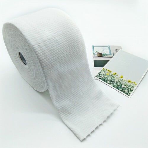 Disposable Towel (Roll)
