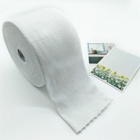 Disposable Towel (Roll)